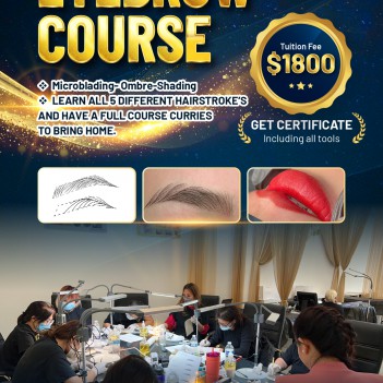 Eyebrow Course